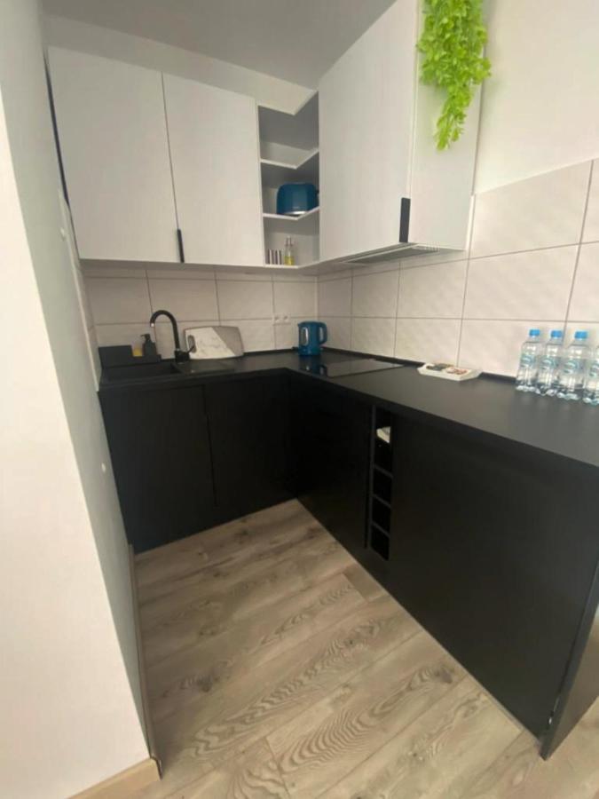 Apartamenty Zatorze 莱什诺 外观 照片
